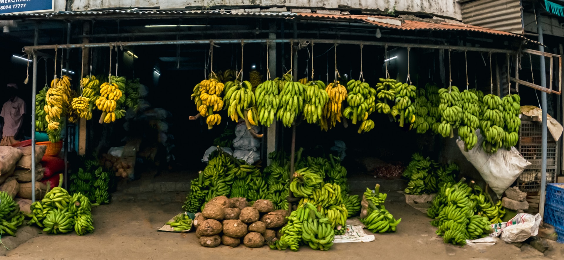 5 Policies to Encourage Sustainability in Produce Shipping