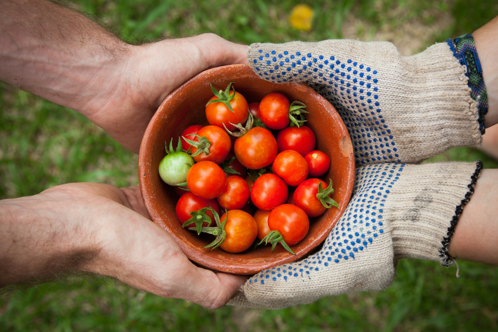 7 Tips for Ensuring Food Safety in Produce Shipping